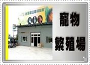 台中市監視器＼台中市監視器維護＼台中市監視器系統買賣 施工實績 * 寵物繁殖場監視器安裝